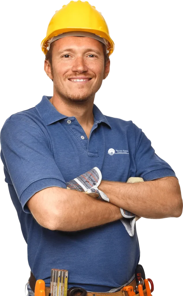 Professional Mosquito Spraying