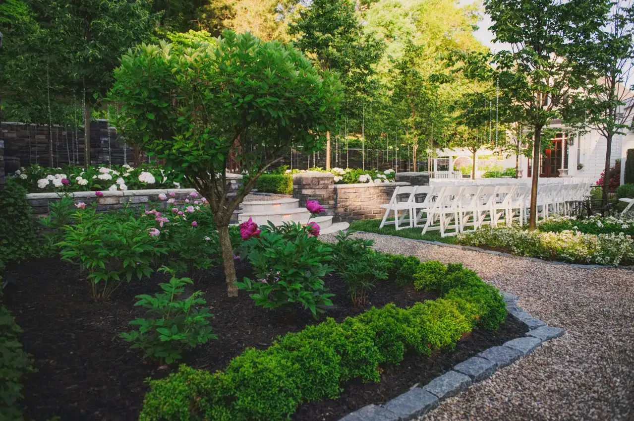 Backyard Mosquito Treatment