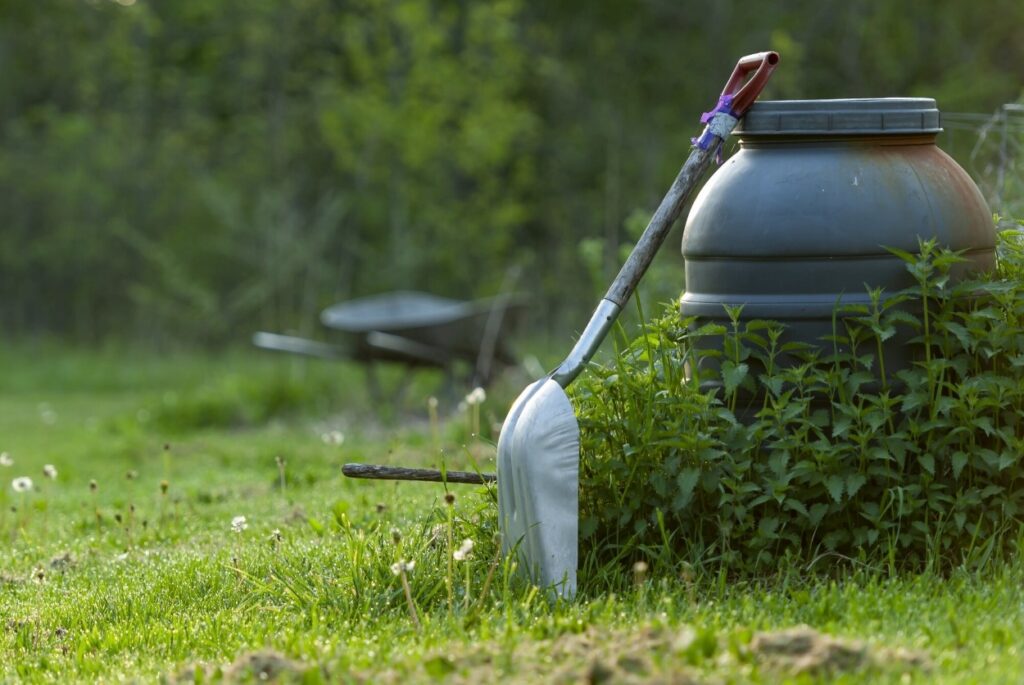 best lawn care tips for kentucky