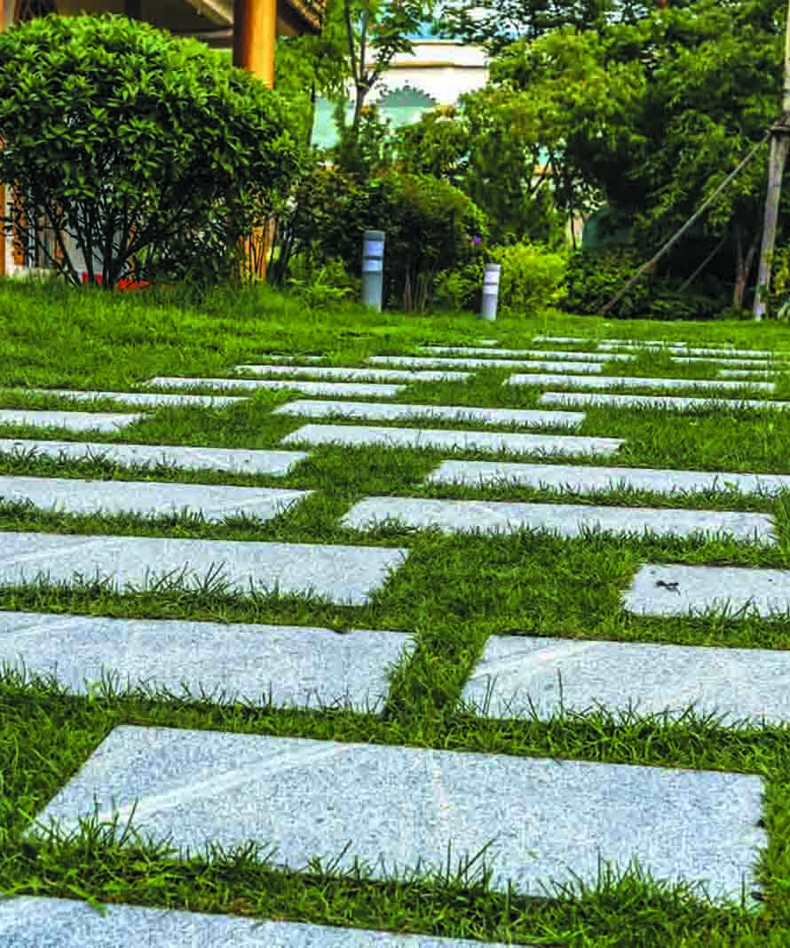 Stone stepping stones run across a green lawn in a landscaped garden, creating a zigzag path toward shrubs and trees.