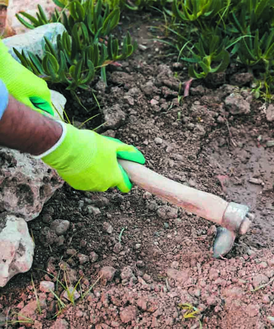 Person wearing bright green gloves using a hammer to break rock in a garden bed.